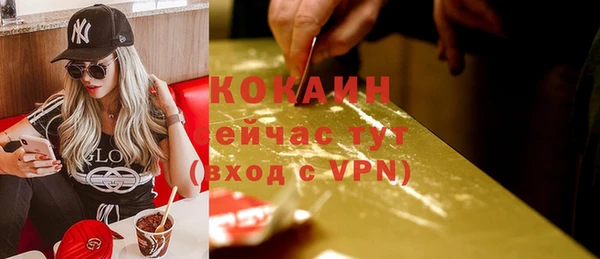 молекула духа Пересвет