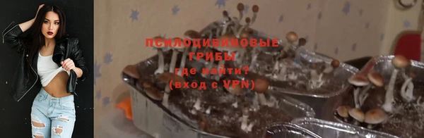 гидропоника Арсеньев