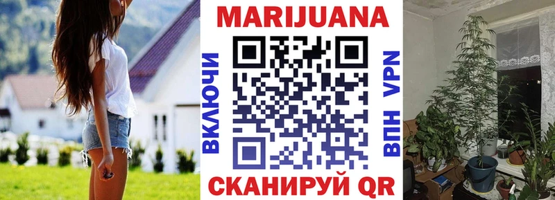 Бошки марихуана OG Kush сколько стоит Тайшет